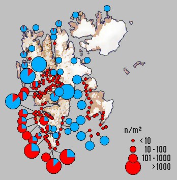(mapa)