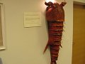 IMG_0024