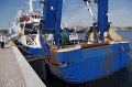 IMGP0554_1