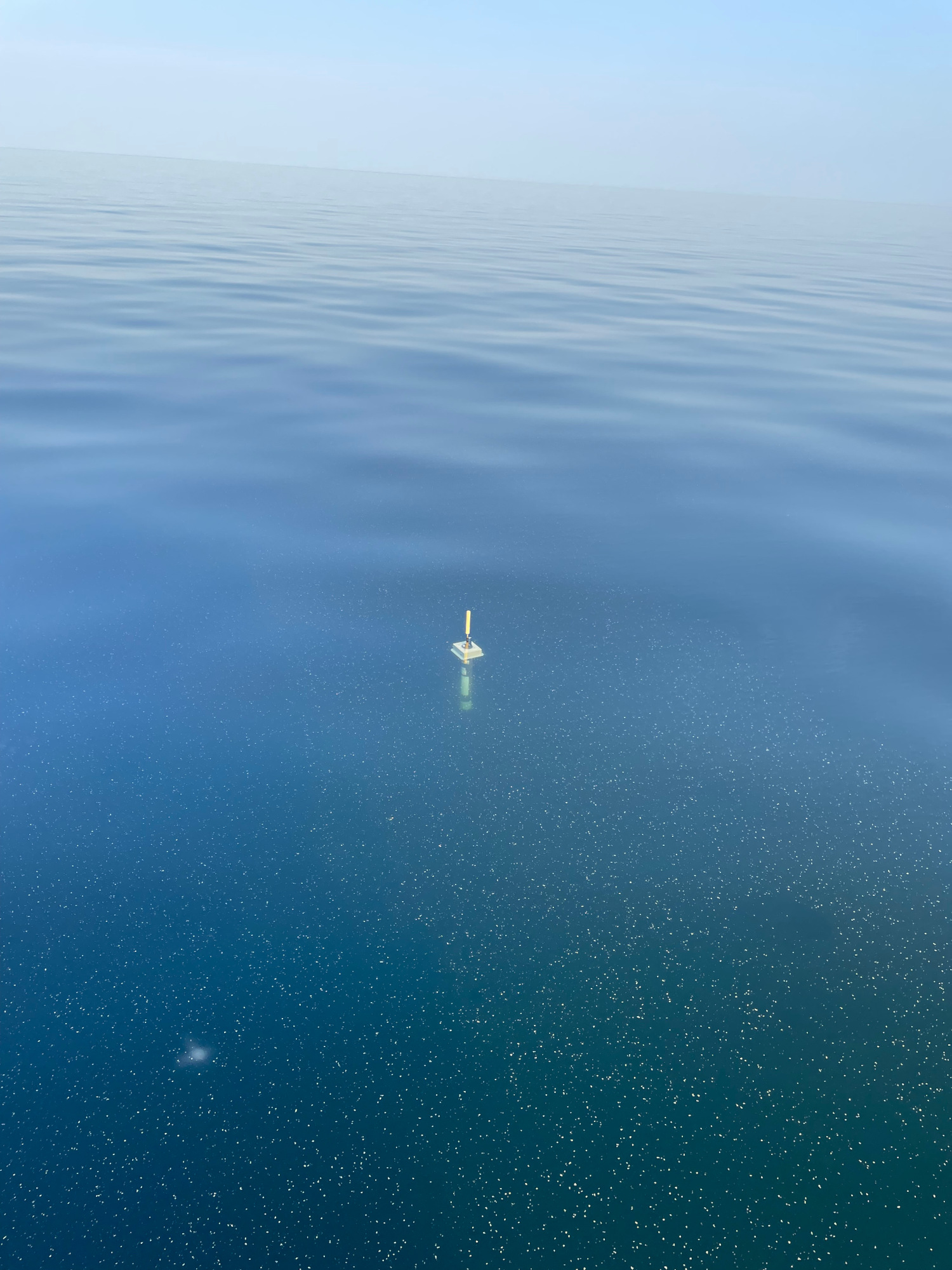 argo_baltic