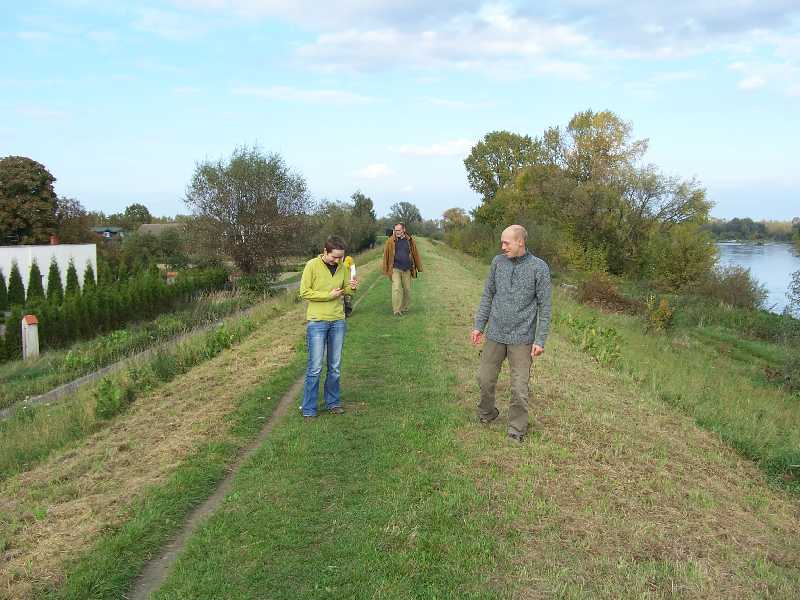 Click for original image